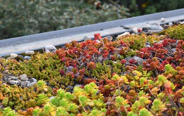 the cost of Broadwindsor green roof installation
