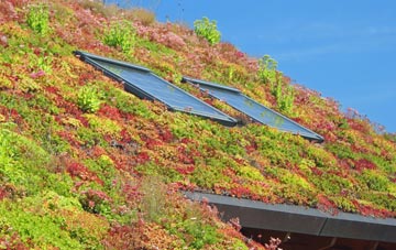 Broadwindsor living roof systems