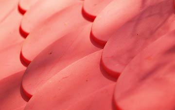 Broadwindsor plastic roof costs