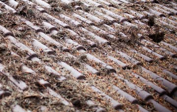 Broadwindsor roof cleaning companies