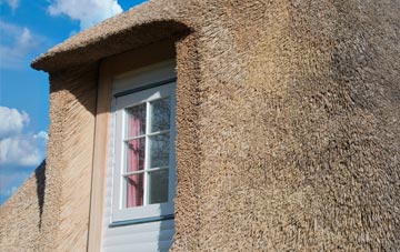 Broadwindsor thatch roof disadvantages