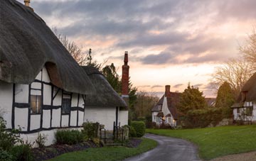 is Broadwindsor thatch roofing popular