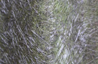 Broadwindsor fibreglass roof work