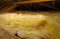 Broadwindsor pitch roof insulation